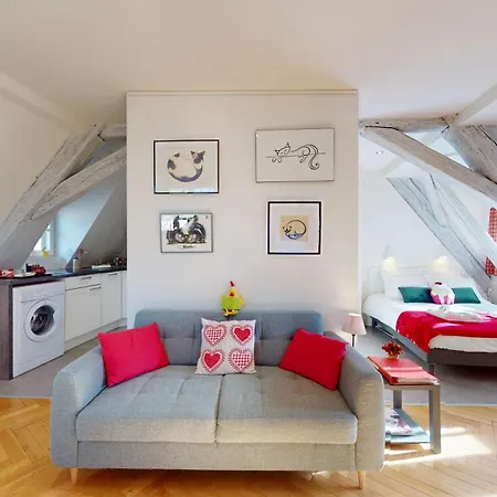 Duplex Le Coup De Coeur - Hyper Centre Colmar