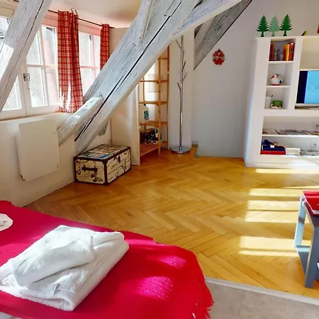 Apartamento Duplex Le Coup De Coeur - Hyper Centre Colmar